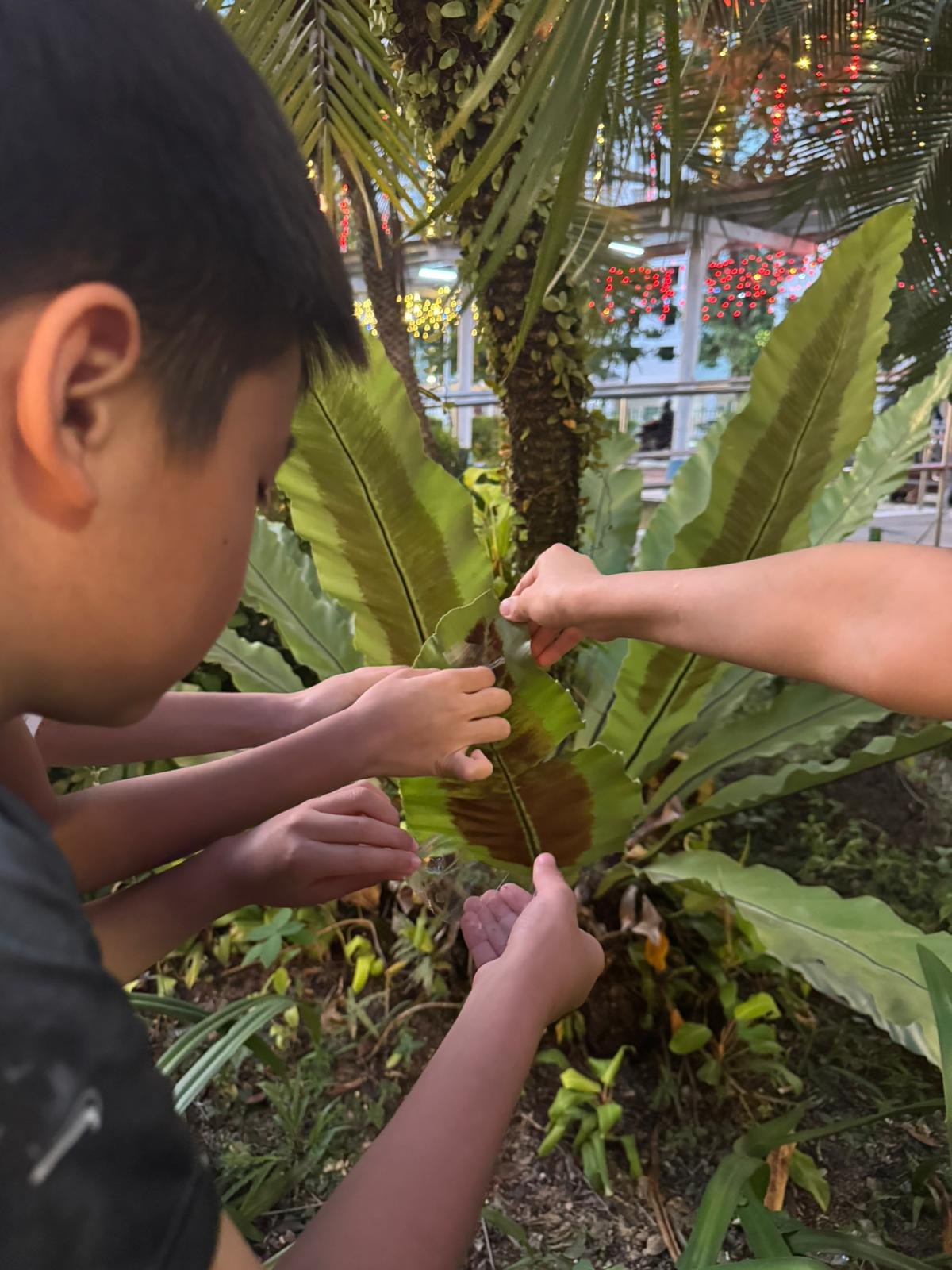 Students examining a plant outdoors during a Joyous Learning science lesson