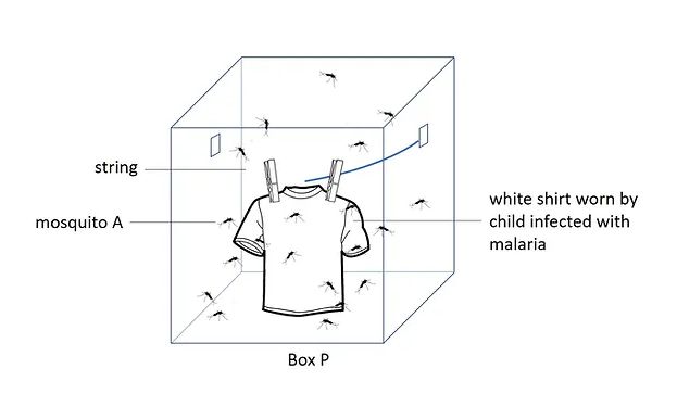 box t shirt