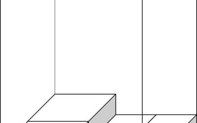 The Past Year PSLE Maths Cube Question That Eluded Social Media Scrutiny