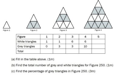 The “Unsolvable” 2019 PSLE Mathematics Question